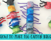 how to make egg carton bugs