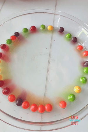 Skittles Experiment- bleed skittles