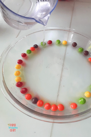 Skittles science experiment with water