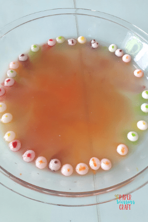 Skittles science experiment