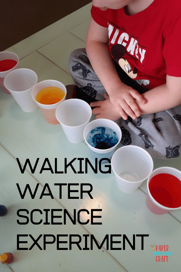 Walking-Water-Science-Experiment-min (1)