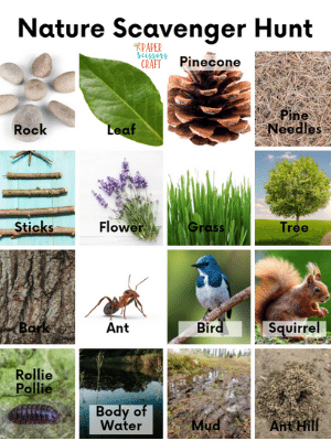 Nature scavenger hunt example.