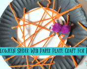 Halloween spider web paper plate craft for kids.