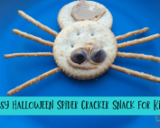 Spider Cracker Treat for Halloween (1)-min (1)