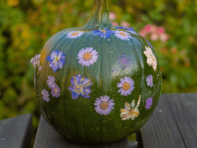 Decorate pumpkins with kids-min