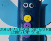 Butterfly Craft Kit (1)-min