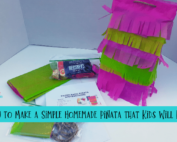 Homemade Pinata (1)-min