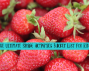 Spring Bucket List-min