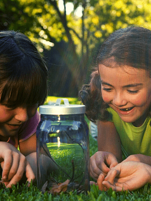 DIY Bug Catcher