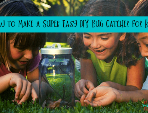 How to Make a Super Easy DIY Bug Catcher for Kids