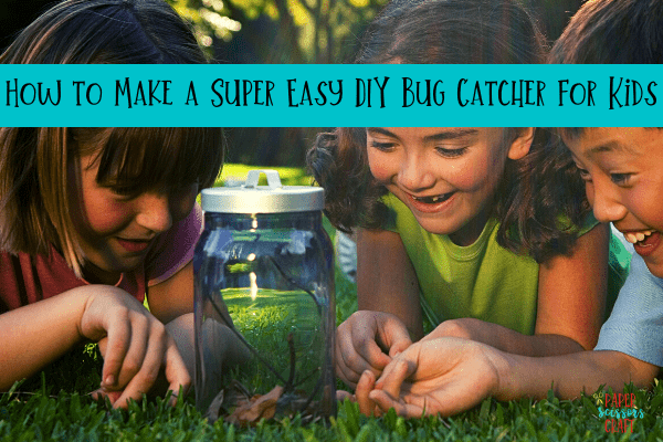 How to Make a Super Simple DIY Bug Catcher for Kids