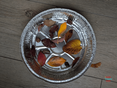 Leaves inside a small aluminum pan.